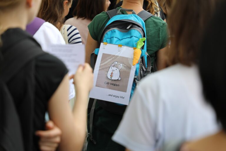 Impressionen Animal Rights March Switzerland 2019