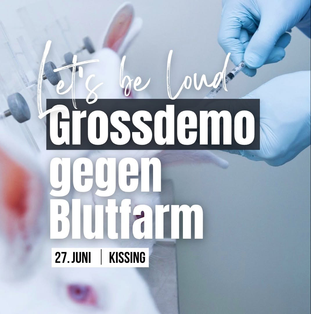 Organisierte Carfahrt zur Grossdemo gegen Kaninchen Blutfarm