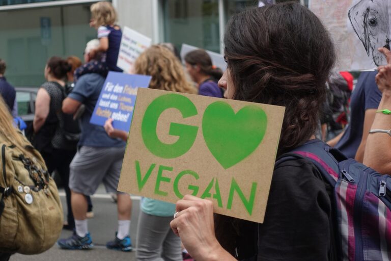 Impressionen Animal Rights March Switzerland 2019