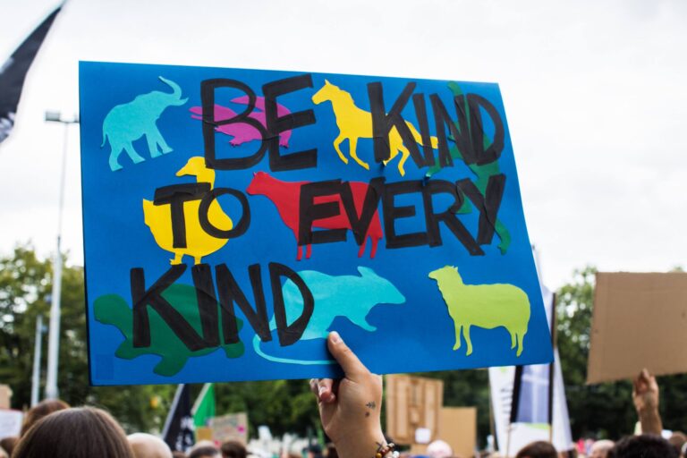 Impressionen Animal Rights March Switzerland 2019