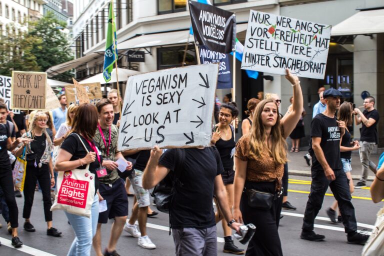 Impressionen Animal Rights March Switzerland 2019