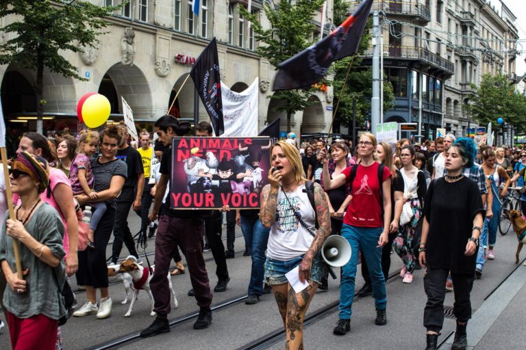 Impressionen Animal Rights March Switzerland 2019