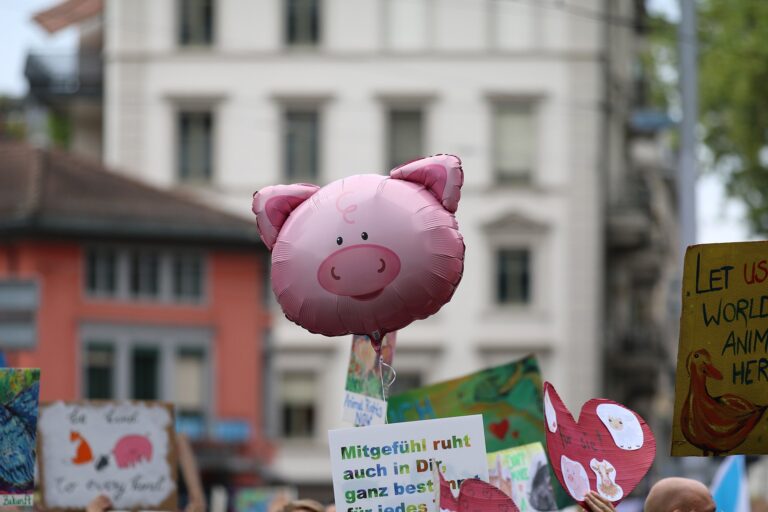 Impressionen Animal Rights March Switzerland 2019