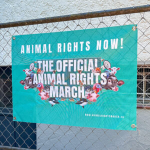 Banner - Animal Rights Now!