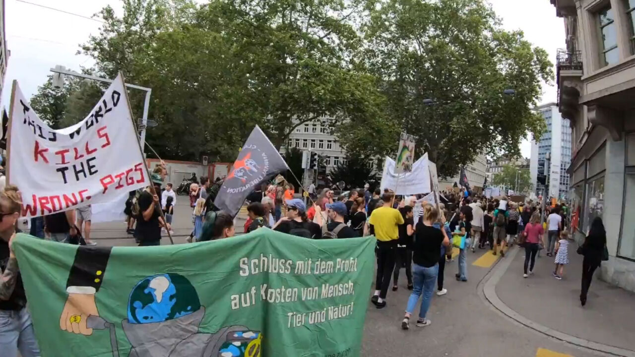 Demonstration 2019