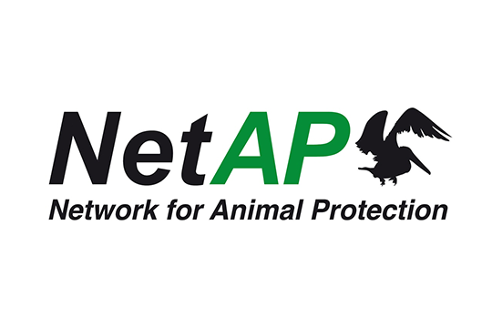 NetAP