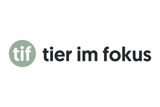 Tier im Fokus